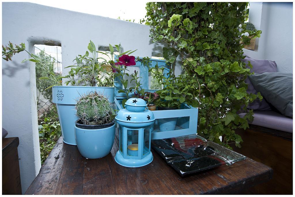 Bonbon Room And Apartment زادار الغرفة الصورة